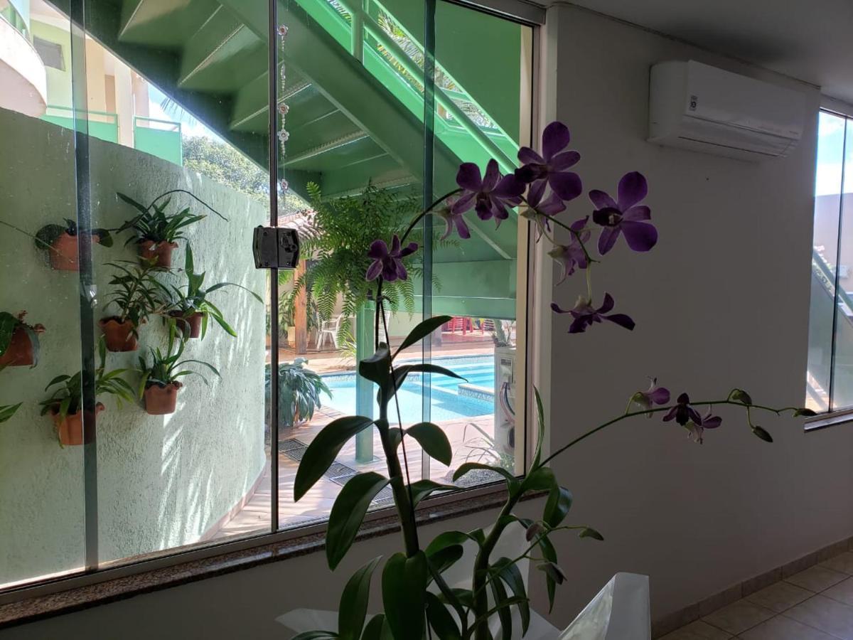 Proenca Hotel 바레투스 외부 사진
