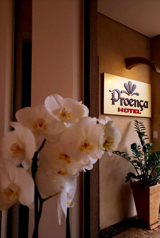Proenca Hotel 바레투스 외부 사진