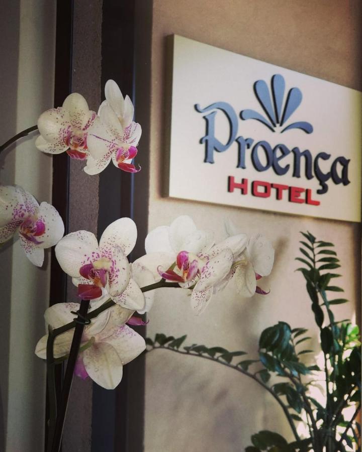 Proenca Hotel 바레투스 외부 사진