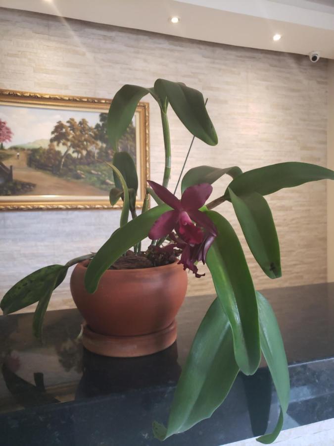 Proenca Hotel 바레투스 외부 사진